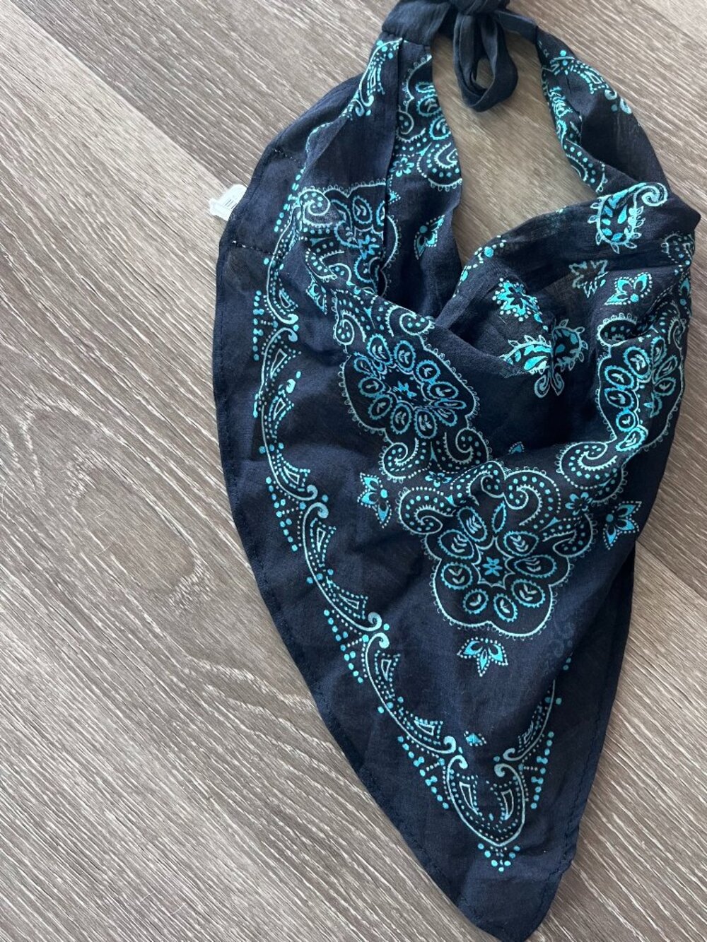 NEW FREE PEOPLE SCARF GIVY